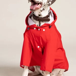 Dogs Raincoat